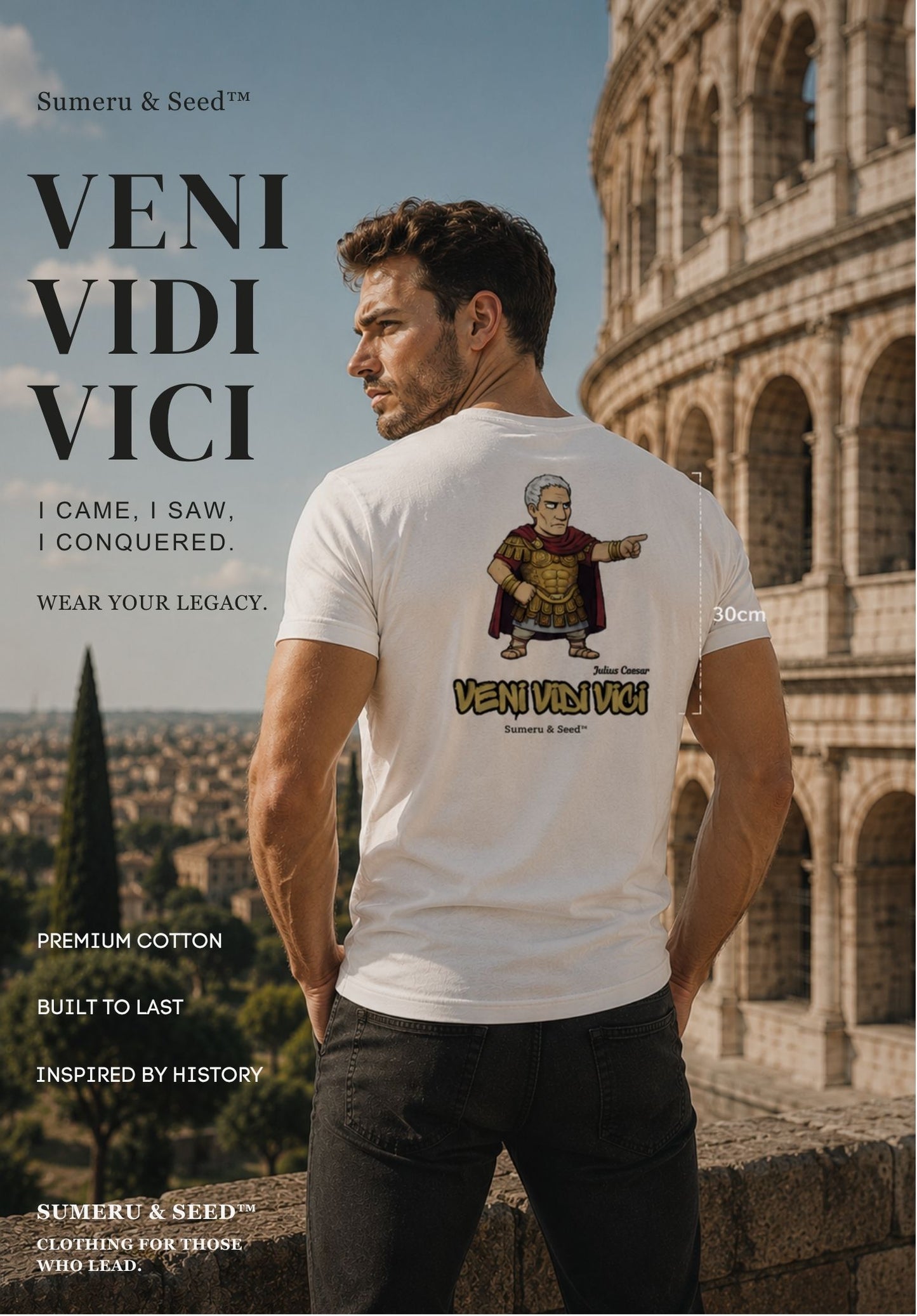 Julius Caesar Veni Vidi Vici Graphic T Shirt