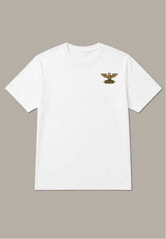 Julius Caesar Veni Vidi Vici Graphic T Shirt